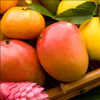 Mango Mandarin Body Milk
